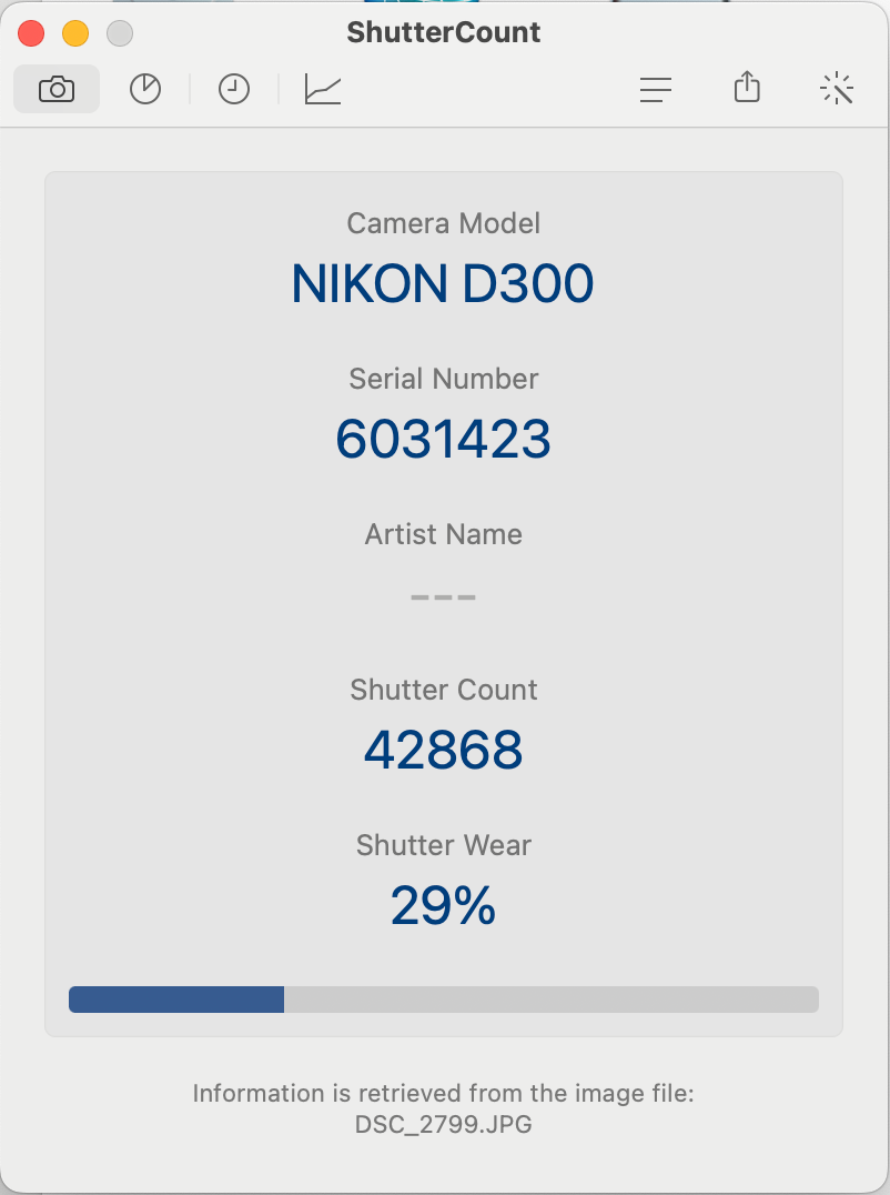 Nikon D300 Reflex DSLR Body 12.3MP + CF 32GB- GARANZIA 12 MESI