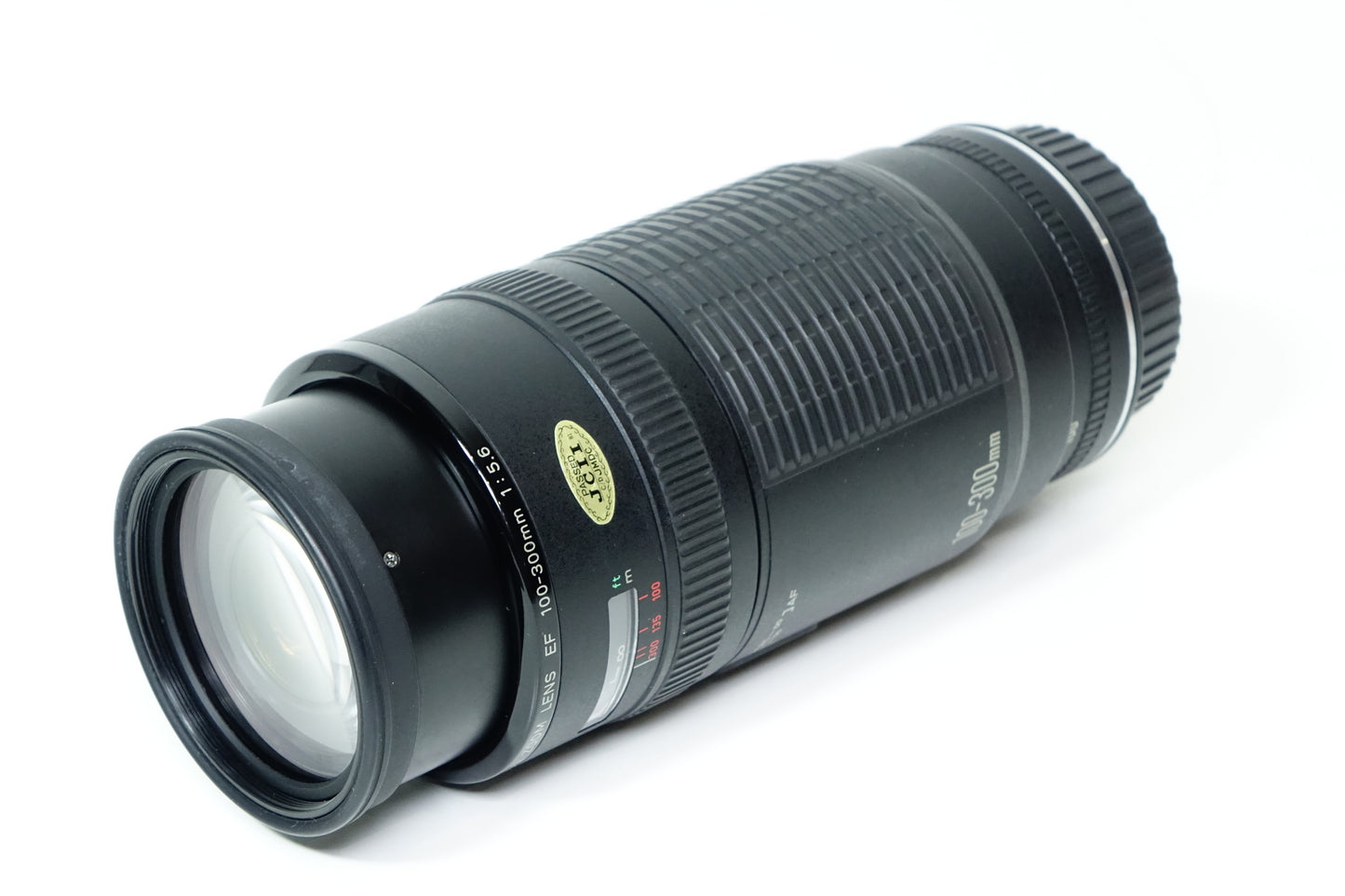 *Muffa* Canon Zoom Lens EF 100-300mm f/5.6 Teleobiettivo