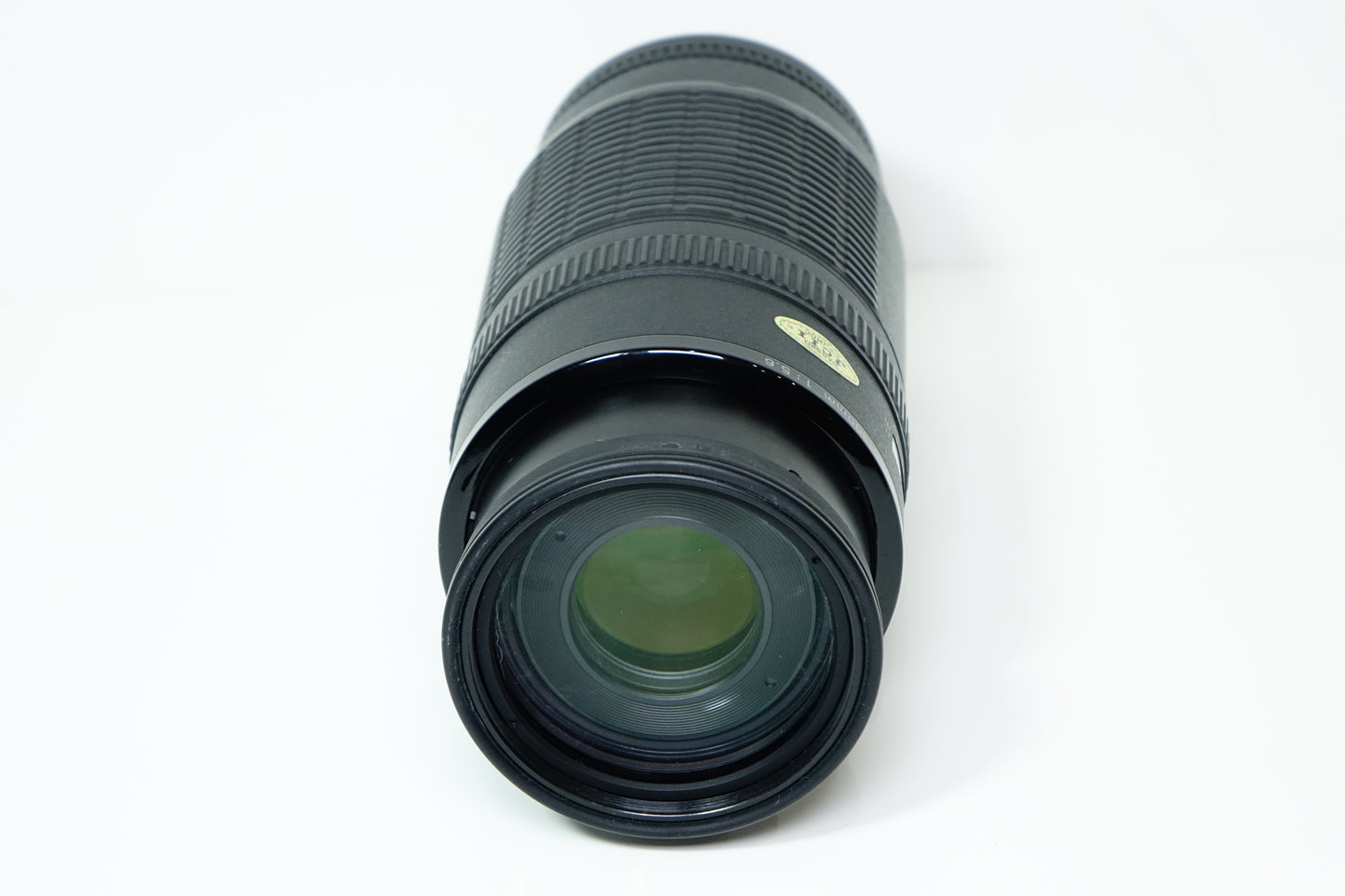 *Muffa* Canon Zoom Lens EF 100-300mm f/5.6 Teleobiettivo