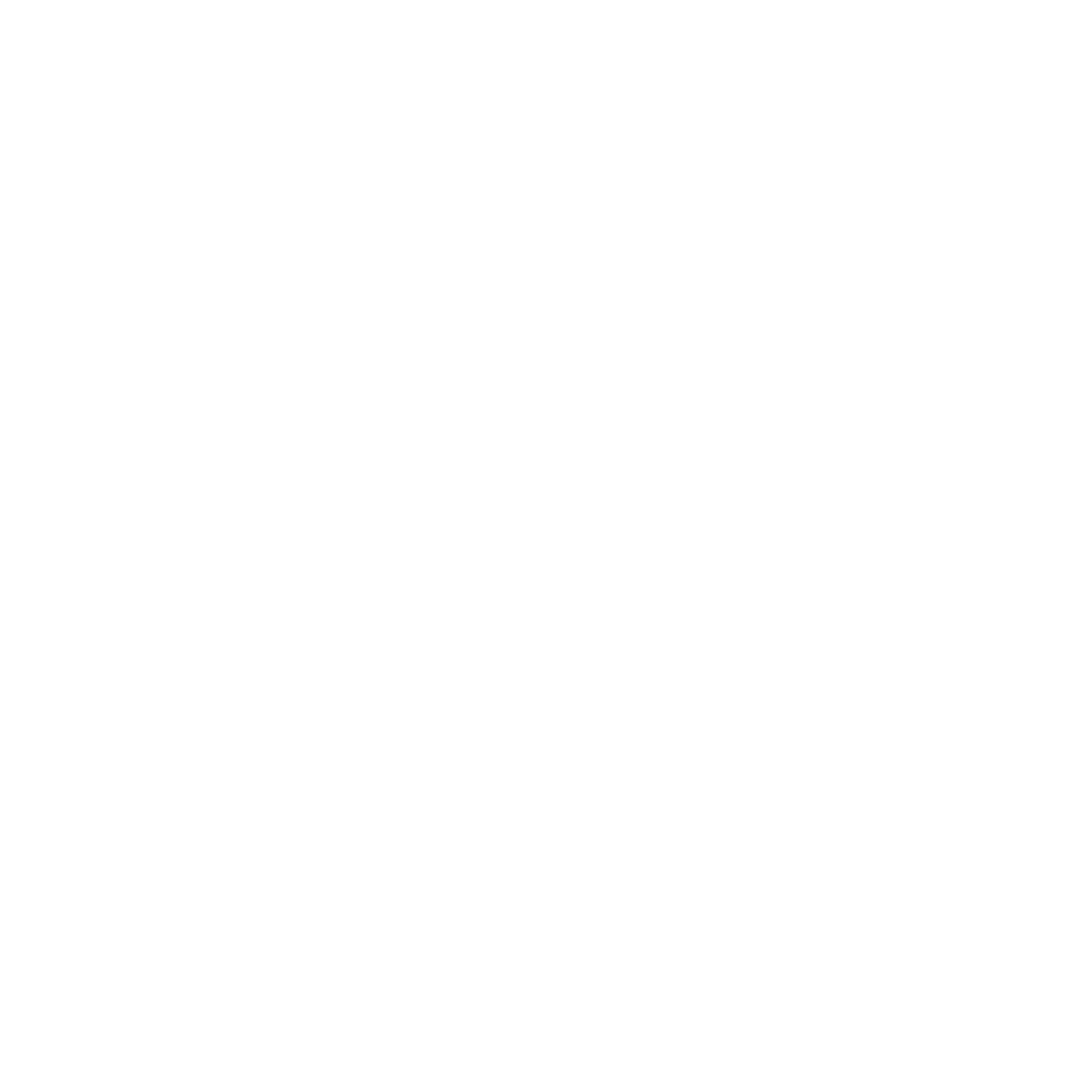 SF ELETTRONICA